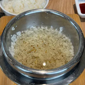 일백풍천민물장어 사진