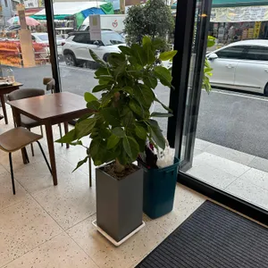르바카사브르큐앤씨성한 리뷰 사진
