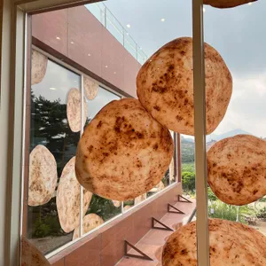 감자밭 대표 사진