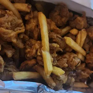 야간열차 사진