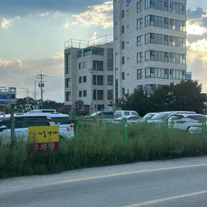 서울양계 리뷰 사진