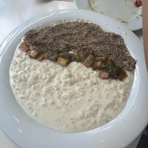 세컨디포레스트 사진