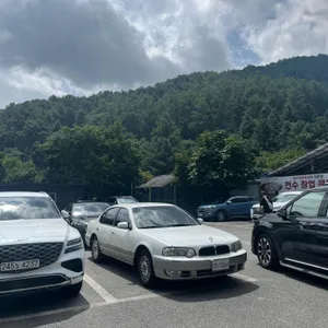 솥뚜껑닭볶음탕 리뷰 사진