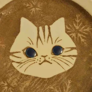 요모 리뷰 사진