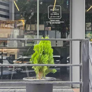 레어그루브 리뷰 사진