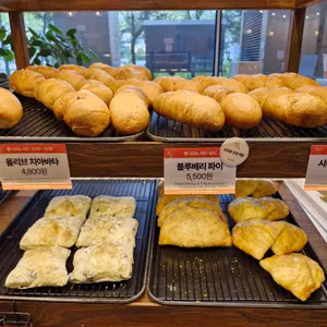 빵백화점 대표 사진