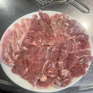가야노다지 사진