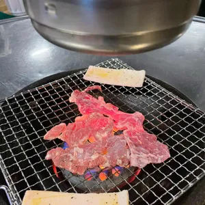 가야노다지 사진