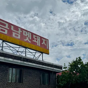 금남멧돼지 사진 1