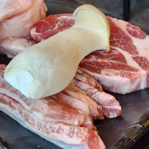 정가네 사진