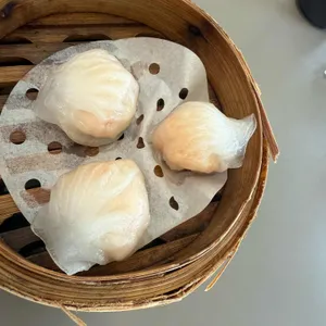 팀호완 사진