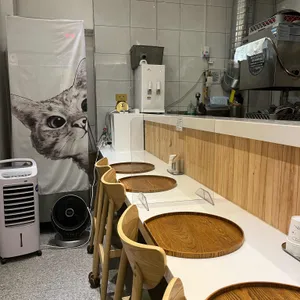 정식 사진