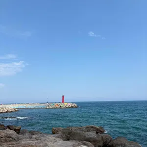 오딘 리뷰 사진