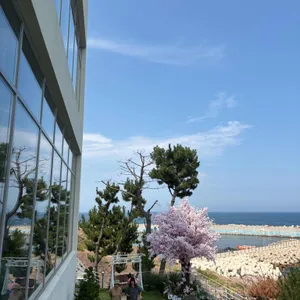 오딘 리뷰 사진