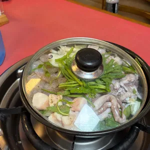 개미집 사진