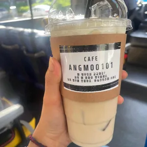 앵무 101 사진 1