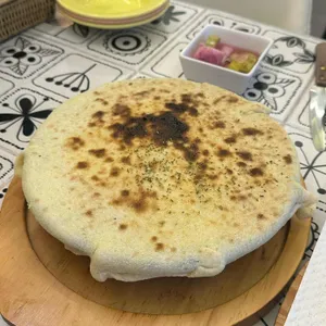 갈매기팸 사진 2