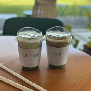 글로시말차 사진