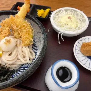 코시 사진