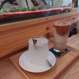 아루쿠히토 사진 1