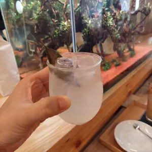 아루쿠히토 사진 2