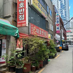 대 대표 사진