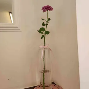 여울포레스트 리뷰 사진