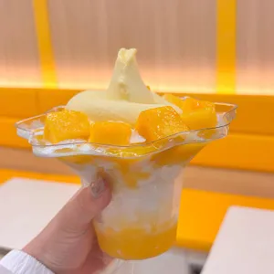 고망고 사진 2