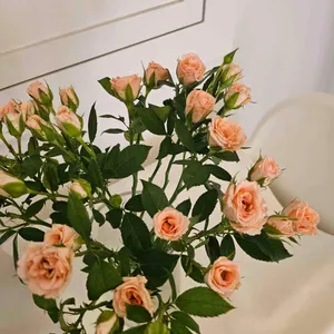 카페라움 사진 1