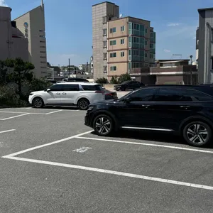 샤브올데이 리뷰 사진