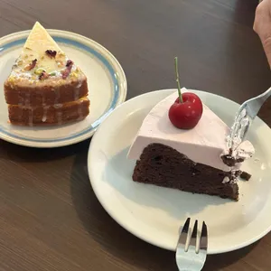 공원 대표 사진