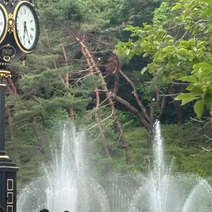 담 리뷰 사진