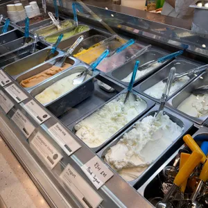 젤라떼리아 도도 사진