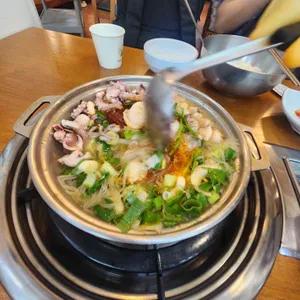 개미집 사진