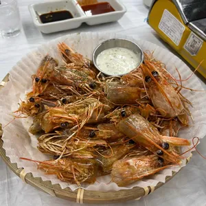 섬꽃새우 사진