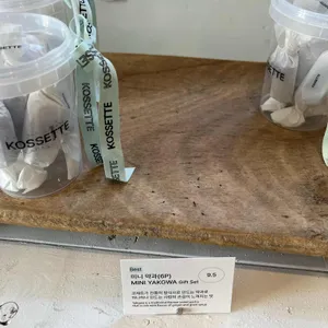 코제트 리뷰 사진
