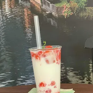 로베잇 사진