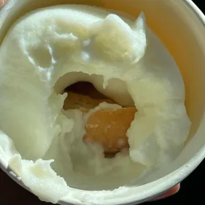 염전의봄 사진