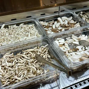 봄담아 사진