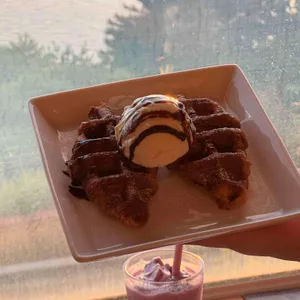 파인트리 대표 사진