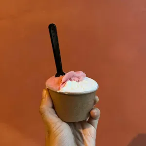 젤라또 노베오 사진