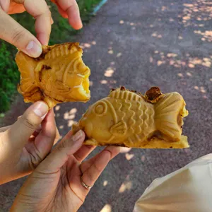 붕호땅 사진