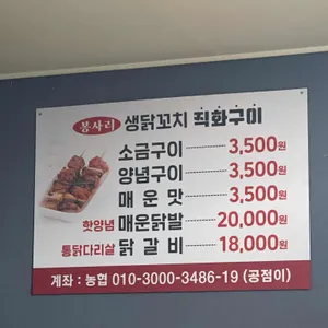 봉사리 생닭꼬치 직화구이 리뷰 사진
