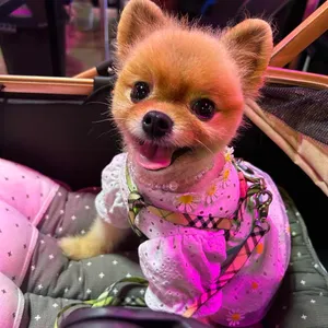 신호등포차 리뷰 사진