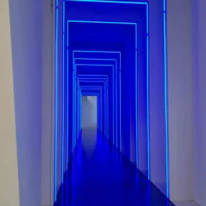 어국 사진 2