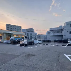 샤브자작나무 리뷰 사진