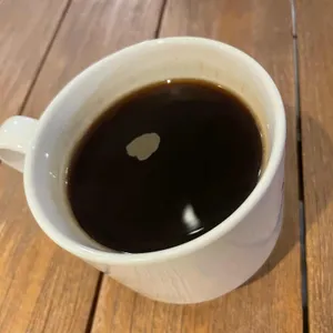 레디언트 사진