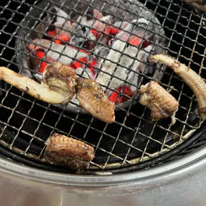 꿈틀이꼼장어 대표 사진