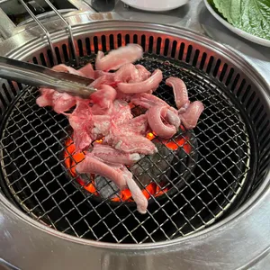 꿈틀이꼼장어 대표 사진