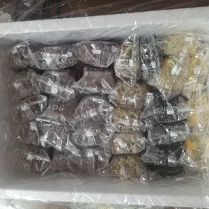 삼다도떡집 대표 사진
